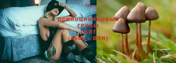 mdpv Балабаново
