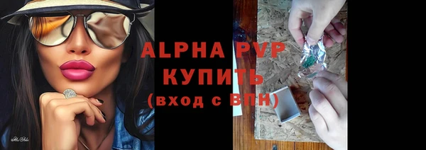 стаф Белоозёрский