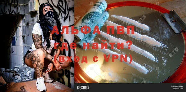 spice Белокуриха